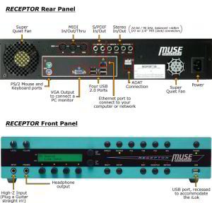 Receptor connectivity [click to zoom]